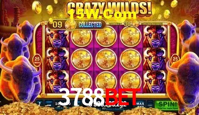 Exclusive Offers 3788Bet